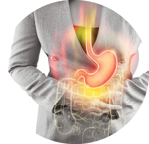 The illustration of stomach and large intestine is on the woman's body against gray background  Acid reflux  Female anatomy