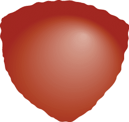 Polygon