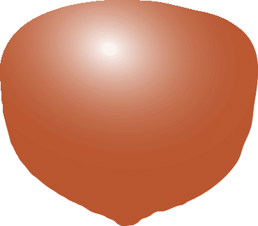 Polygon