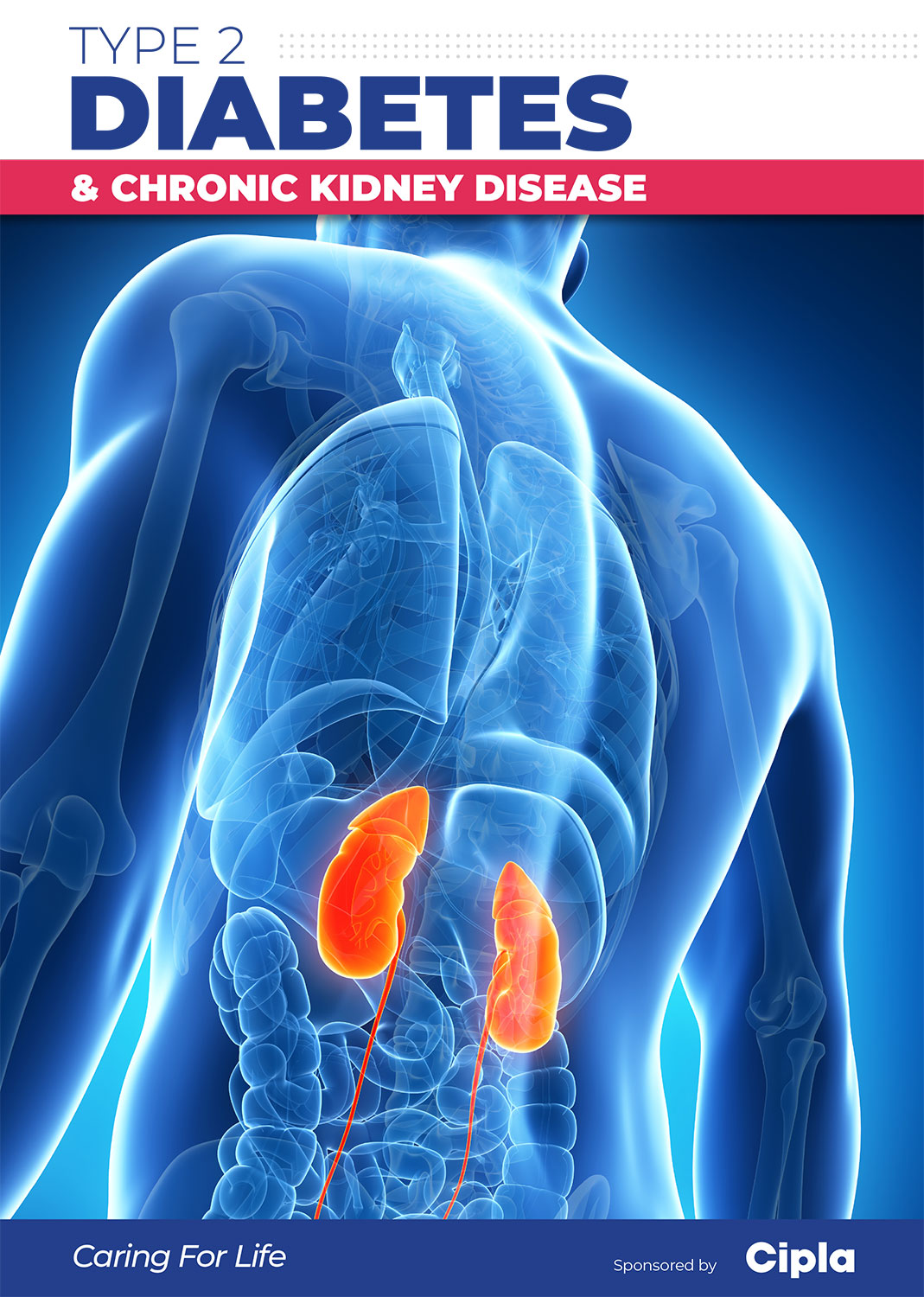 DIGIBOOK-4-Type-2-diabetes-chronic-kidney-disease-1