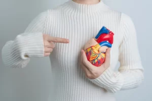 Woman holding human Heart model. Cardiovascular Diseases, Atherosclerosis, Hypertensive Heart, Valvular Heart, Aortopulmonary window, world Heart day and health concept.