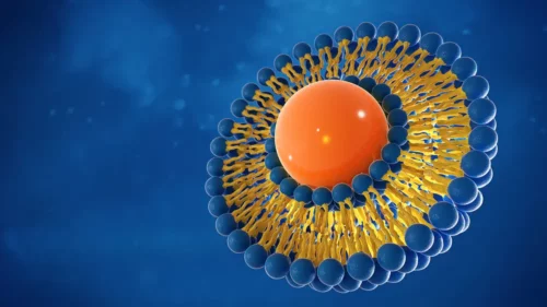 3d rendering of a liposome structure